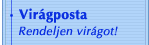 Virágposta - Rendeljen virágot!
