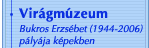 Bukros Erzsébet munkássága
